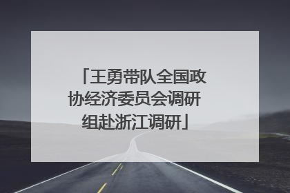 王勇带队全国政协经济委员会调研组赴浙江调研