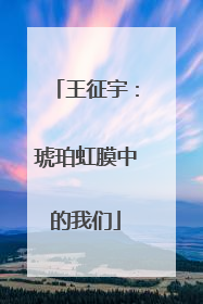 王征宇：琥珀虹膜中的我们