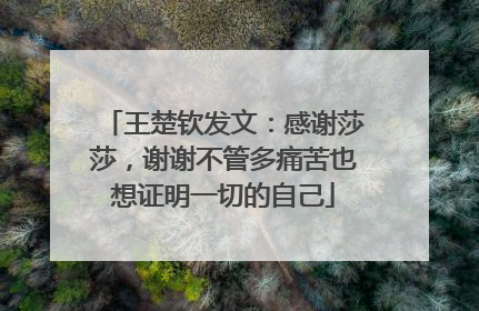 王楚钦发文：感谢莎莎，谢谢不管多痛苦也想证明一切的自己