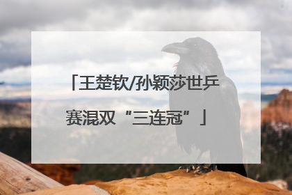 王楚钦/孙颖莎世乒赛混双“三连冠”