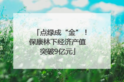 点绿成“金”！保康林下经济产值突破9亿元