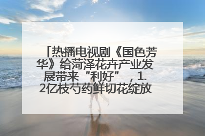 热播电视剧《国色芳华》给菏泽花卉产业发展带来“利好”，1.2亿枝芍药鲜切花绽放“国色芳华”