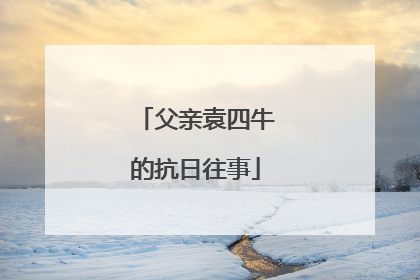 父亲袁四牛的抗日往事