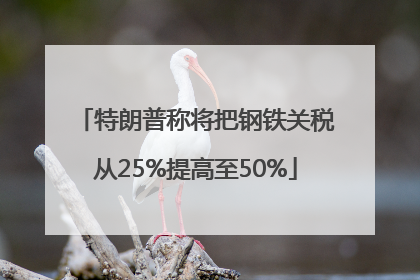 特朗普称将把钢铁关税从25%提高至50%