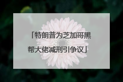 特朗普为芝加哥黑帮大佬减刑引争议