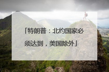 特朗普：北约国家必须达到，美国除外