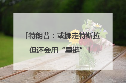 特朗普：或挪走特斯拉 但还会用“星链”