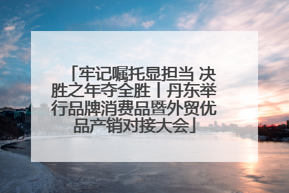 牢记嘱托显担当 决胜之年夺全胜丨丹东举行品牌消费品暨外贸优品产销对接大会