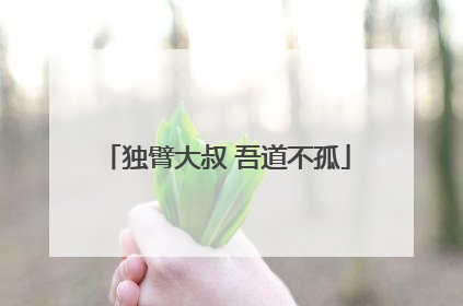 独臂大叔 吾道不孤