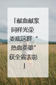 献血献浆同样光荣 娄底这群“热血英雄”获全省表彰