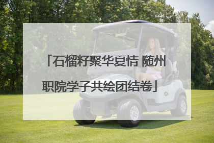 石榴籽聚华夏情 随州职院学子共绘团结卷