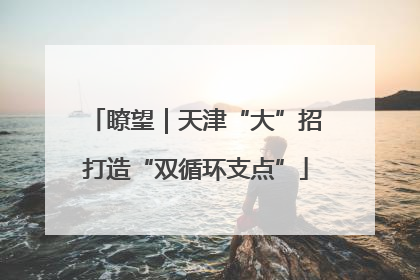 瞭望｜天津“大”招打造“双循环支点”