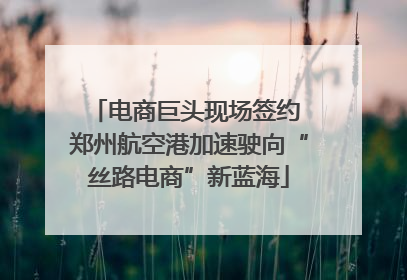 电商巨头现场签约 郑州航空港加速驶向“丝路电商”新蓝海