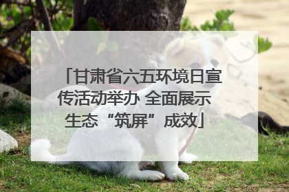 甘肃省六五环境日宣传活动举办 全面展示生态“筑屏”成效