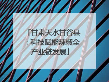 甘肃天水甘谷县：科技赋能辣椒全产业链发展