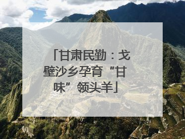 甘肃民勤：戈壁沙乡孕育“甘味”领头羊