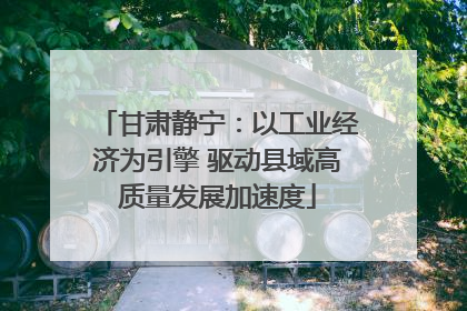 甘肃静宁：以工业经济为引擎 驱动县域高质量发展加速度