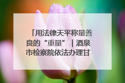用法律天平称量善良的“重量”｜酒泉市检察院依法办理甘肃首例社区矫正对象见义勇为减刑案
