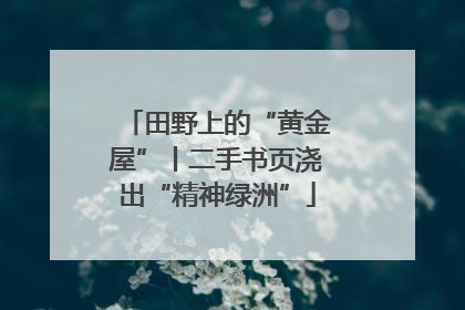 田野上的“黄金屋”丨二手书页浇出“精神绿洲”