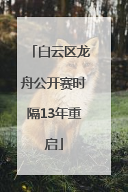 白云区龙舟公开赛时隔13年重启