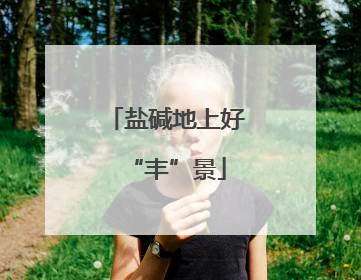 盐碱地上好“丰”景