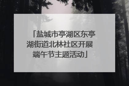 盐城市亭湖区东亭湖街道北林社区开展端午节主题活动