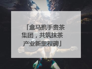 盒马携手贵茶集团，共筑抹茶产业新里程碑