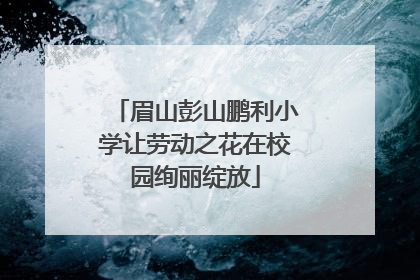 眉山彭山鹏利小学让劳动之花在校园绚丽绽放