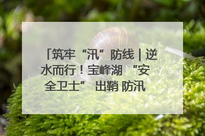 筑牢“汛”防线｜逆水而行！宝峰湖 “安全卫士” 出鞘 防汛应急再添硬核力量