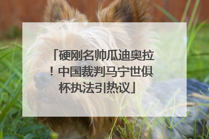 硬刚名帅瓜迪奥拉！中国裁判马宁世俱杯执法引热议