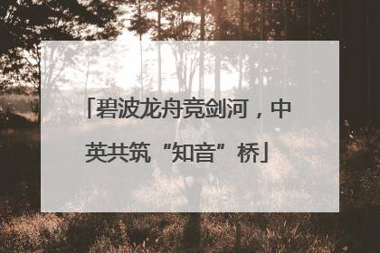 碧波龙舟竞剑河，中英共筑“知音”桥