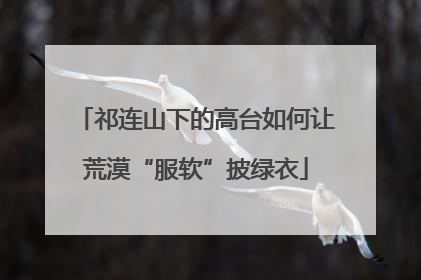 祁连山下的高台如何让荒漠“服软”披绿衣