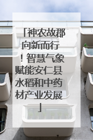 神农故郡 向新而行！智慧气象赋能安仁县水稻和中药材产业发展