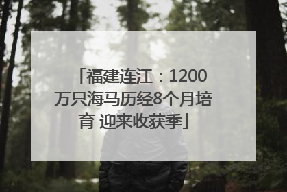 福建连江：1200万只海马历经8个月培育 迎来收获季