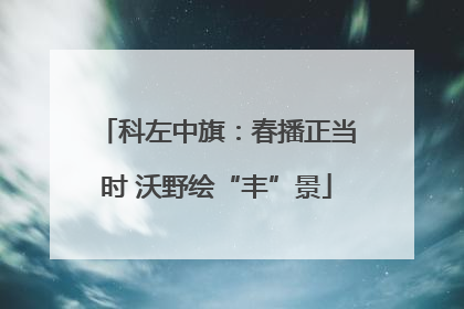 科左中旗：春播正当时 沃野绘“丰”景