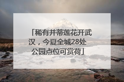 稀有并蒂莲花开武汉，今夏全城28处公园点位可赏荷