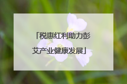 税惠红利助力彭艾产业健康发展