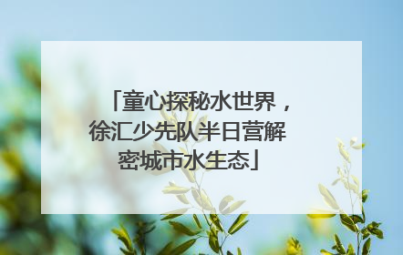 童心探秘水世界，徐汇少先队半日营解密城市水生态