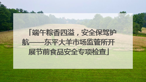 端午粽香四溢，安全保驾护航——东平大羊市场监管所开展节前食品安全专项检查