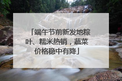 端午节前新发地粽叶、糯米热销，蔬菜价格稳中有降