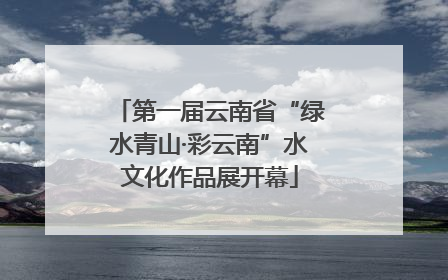 第一届云南省“绿水青山·彩云南”水文化作品展开幕