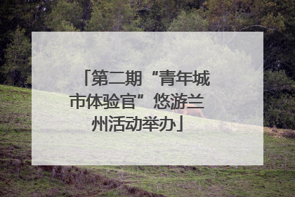 第二期“青年城市体验官”悠游兰州活动举办
