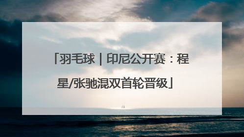 羽毛球｜印尼公开赛：程星/张驰混双首轮晋级