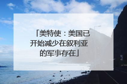 美特使：美国已开始减少在叙利亚的军事存在