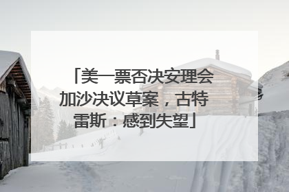 美一票否决安理会加沙决议草案，古特雷斯：感到失望
