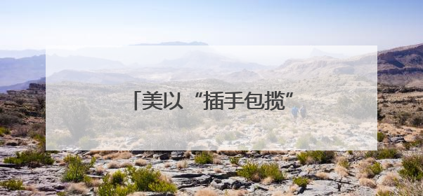 美以“插手包揽”加沙人道物资分发
