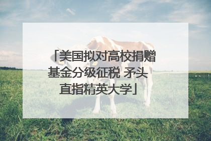 美国拟对高校捐赠基金分级征税 矛头直指精英大学
