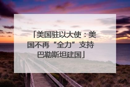 美国驻以大使：美国不再“全力”支持巴勒斯坦建国