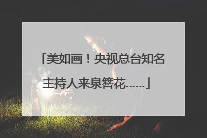 美如画！央视总台知名主持人来泉簪花……