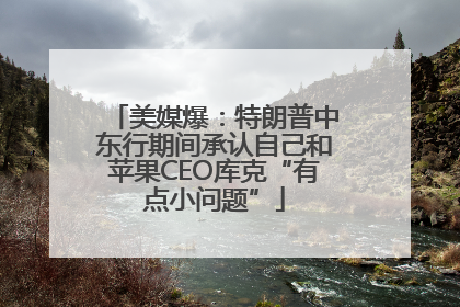 美媒爆：特朗普中东行期间承认自己和苹果CEO库克“有点小问题”